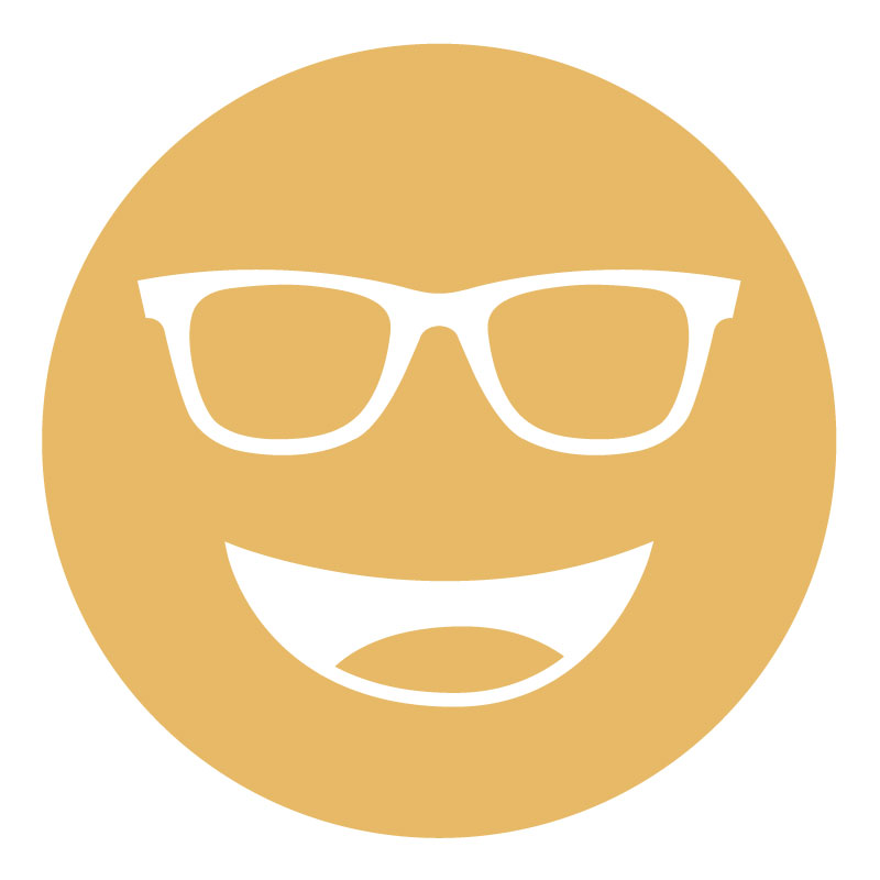 Orange circular icon with a smiling face wearing glasses, representing the 511 lens tint.