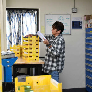 lab-staff-1 Susan at Chadwick Optical, holding papers and inspecting a stack of yellow trays filled with lenses in the lab.